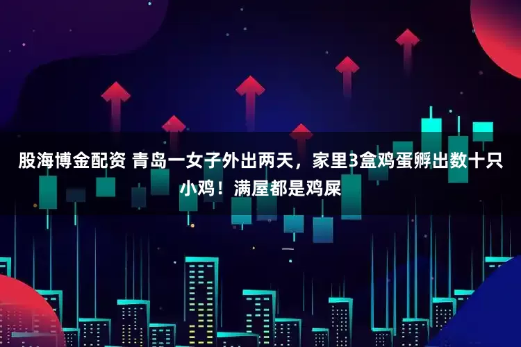 股海博金配资 青岛一女子外出两天，家里3盒鸡蛋孵出数十只小鸡！满屋都是鸡屎