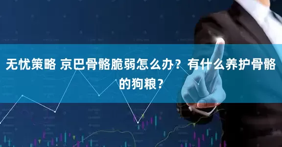 无忧策略 京巴骨骼脆弱怎么办？有什么养护骨骼的狗粮？