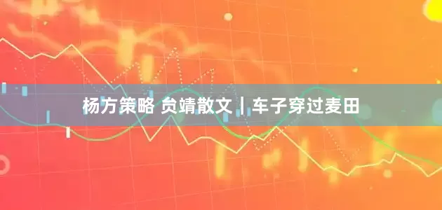 杨方策略 贠靖散文｜车子穿过麦田